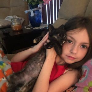 Meet your Posher, Andy